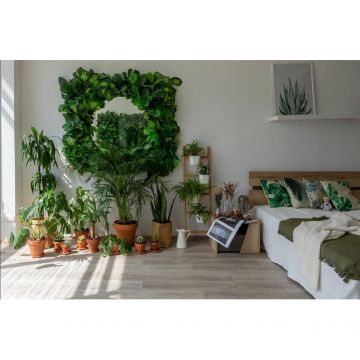 Виниловый пол Vinilam (Винилам) Glue Дуб Ален (Rich) 2,5/43 (Oak Alain) , 20468