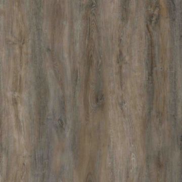 Виниловый пол SPC Evofloor (Эвофлор) Home 4/42 Дуб Пепельный (Oak Ashen)