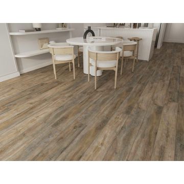 Виниловый пол SPC Evofloor (Эвофлор) Home 4/42 Дуб Пепельный (Oak Ashen)