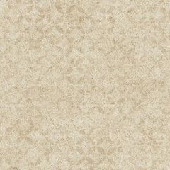 Обои виниловые Andrea Rossi Arlequin 10х1,06 м (54297-6)