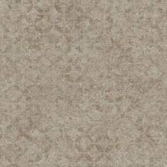 Обои виниловые Andrea Rossi Arlequin 10х1,06 м (54297-7)