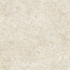 Обои виниловые Andrea Rossi Arlequin 10х1,06 м (54298-8)