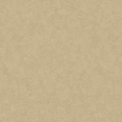 Обои флизелиновые Loymina (Лоймина) Shade 10х1 м (SD3 002/3)