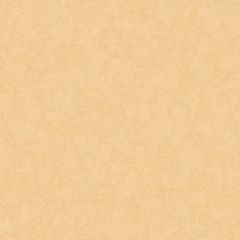 Обои флизелиновые Loymina (Лоймина) Shade 10х1 м (SD3 002/5)