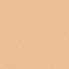 Обои флизелиновые Loymina (Лоймина) Shade 10х1 м (SD3 003)