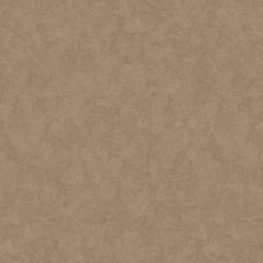 Обои флизелиновые Loymina (Лоймина) Shade 10х1 м (SD3 012)