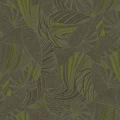 Обои флизелиновые Loymina (Лоймина) Amazonia 10х1 м (Ins5 005/1)