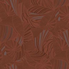 Обои флизелиновые Loymina (Лоймина) Amazonia 10х1 м (Ins5 020)
