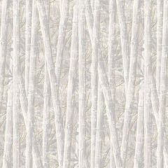 Обои флизелиновые Loymina (Лоймина) Amazonia 10х1 м (Ins7 001/1)