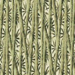 Обои флизелиновые Loymina (Лоймина) Amazonia 10х1 м (Ins7 005/1)