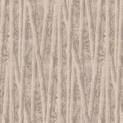 Обои флизелиновые Loymina (Лоймина) Amazonia 10х1 м (Ins7 008)