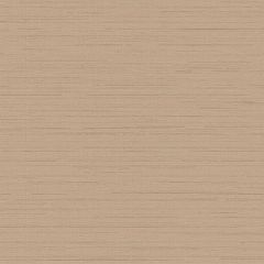 Обои флизелиновые Loymina (Лоймина) Amazonia 10х1 м (Ins9 002/1)
