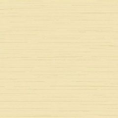 Обои флизелиновые Loymina (Лоймина) Amazonia 10х1 м (Ins9 005)