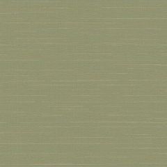 Обои флизелиновые Loymina (Лоймина) Amazonia 10х1 м (Ins9 005/1)