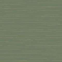 Обои флизелиновые Loymina (Лоймина) Amazonia 10х1 м (Ins9 005/3)