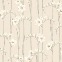 Обои флизелиновые Loymina (Лоймина) Origins 10х1 м (Als2 002)