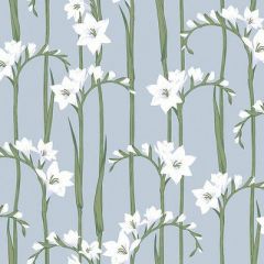 Обои флизелиновые Loymina (Лоймина) Origins 10х1 м (Als2 008)