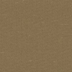 Обои флизелиновые Loymina (Лоймина) Enigma 10х1 м (LD8 110)