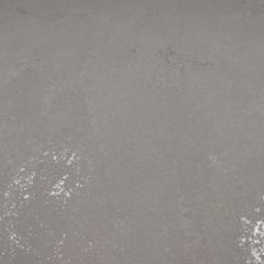 Обои флизелиновые Bruno Zoff Silver 10,05х1,06 м (60114-4)