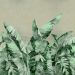 Фреска Affresco (Аффреско) Ботаника Тропики Листья Арт. ID136020