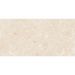 Настенная плитка Cersanit (Церсанит) Caravan 29,7х60 см Бежевая ACL301