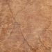 Керамогранит Cersanit (Церсанит) Horn 32,6х32,6 см Бежевый HO4P152