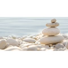 Декор Alma Ceramica (Альма Керамика) Дель 24,9х50 см Голубой DWU09DLM644