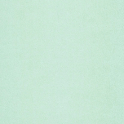 Обои виниловые Grandeco (Грандэко) Aurora 2022 10,05х0,53 м (CE 1407)