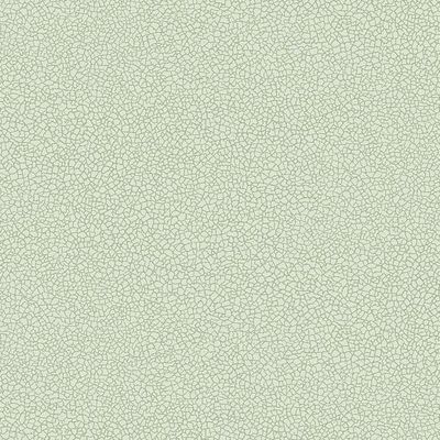 Обои флизелиновые Loymina (Лоймина) Satori vol. IV 10х1 м (Ph11 005)