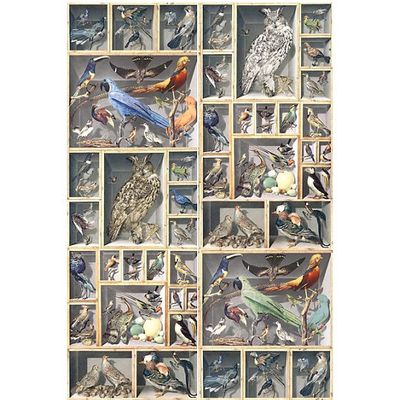 Панно Loymina (Лоймина) Illusion vol. II Classic 3х2 м (DC 049) м2