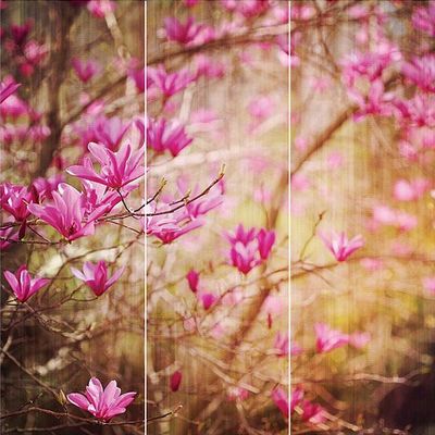 Панно Loymina (Лоймина) Illusion vol. II Floral 3х3 м (DFL 001) м2