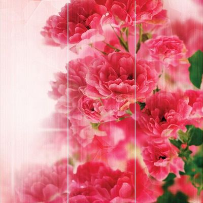 Панно Loymina (Лоймина) Illusion vol. II Floral 3х3 м (DFL 003) м2