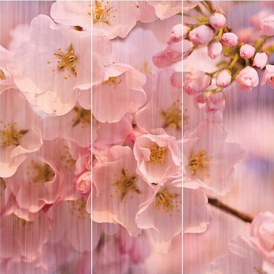 Панно Loymina (Лоймина) Illusion vol. II Floral 3х3 м (DFL 004) м2