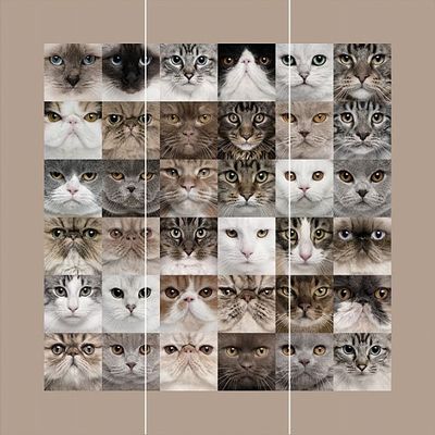 Панно Loymina (Лоймина) Illusion vol. II Animals 3х3 м (DA 001) м2