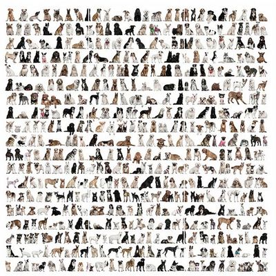 Панно Loymina (Лоймина) Illusion vol. II Animals 3х3 м (DA 002) м2