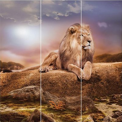 Панно Loymina (Лоймина) Illusion vol. II Animals 3х3 м (DA 008) м2