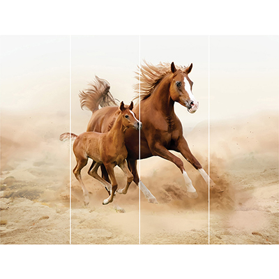 Панно Loymina (Лоймина) Illusion vol. II Animals 3х4 м (DA 003) м2