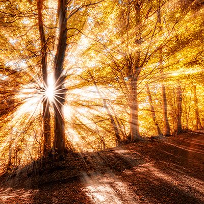 Панно Loymina (Лоймина) Illusion Fusion 3х4 м (DF 002) м2