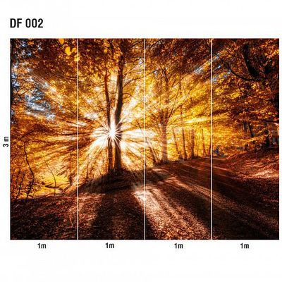 Панно Loymina (Лоймина) Illusion Fusion 3х4 м (DF 002) м2