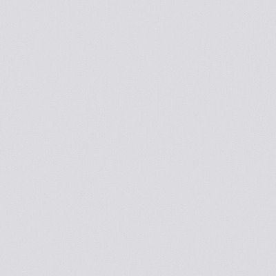 Обои флизелиновые Loymina Renaissance 10х1 м (NK4 009/2)
