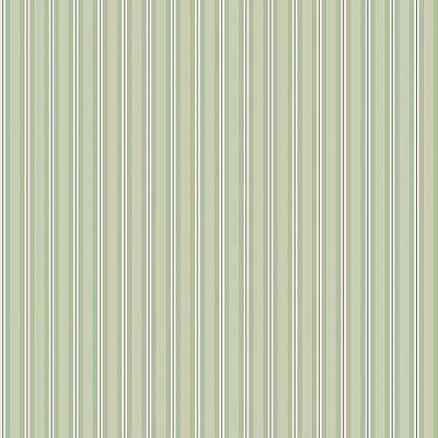 Обои флизелиновые Loymina (Лоймина) Rosa Dragomirski 10х1 м (R6 005)