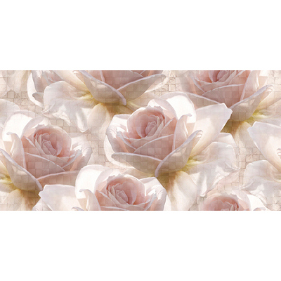 Вставка Cersanit (Церсанит) Royal 29,8х59,8 см Разноцветный RG2С451D