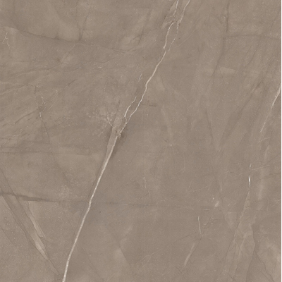 Керамогранит LeeDo (Лидо Керамика) - Marble Porcelain Pulpis grigio scuro MAT 60x60 см (Pulpis grigio scuro MAT 60x60 матовый)
