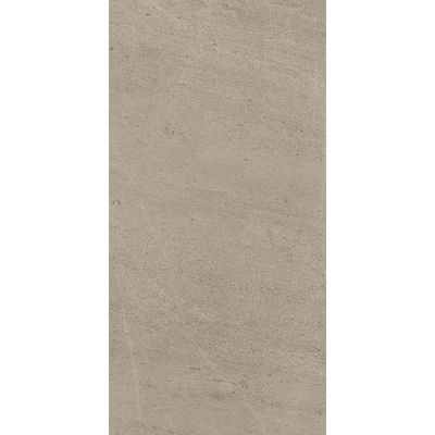 Керамогранит Atlas Concorde (Атлас Конкорд) Wise Silver Grey Lap 60x120 см, лаппатированный (610015000399)