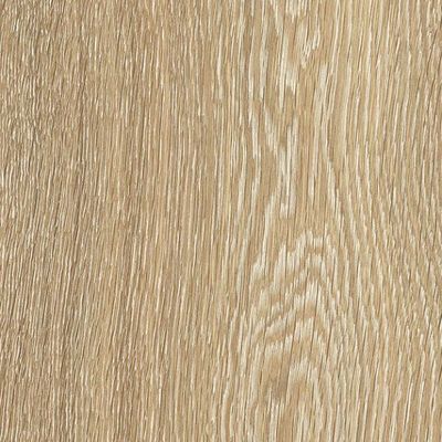 Ламинат Kastamonu (Кастамону) Floorpan Yellow 8/32 Дуб Каньон Кремовый (Oak Canyon Cream), Fp016