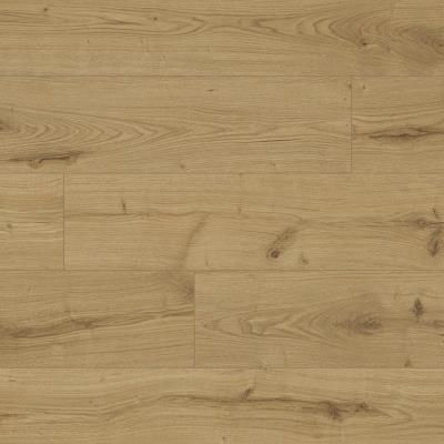 Ламинат Kaindl (Кайндл) Classic Touch Standard 8/32 Дуб Северина (Oak Severin), 37813