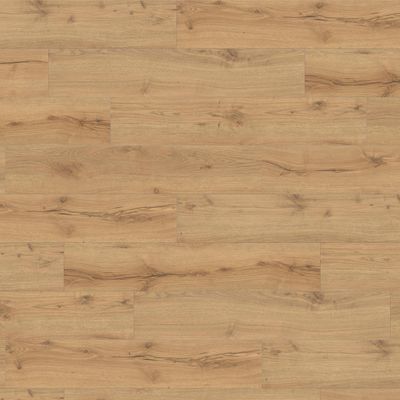 Ламинат Haro (Харо) Tritty 100 Campus 4V 8/32 Дуб Альпийский Натур (Oak Alpine Natural), 532063