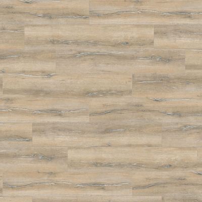 Ламинат Haro (Харо) Tritty 100 Campus 4V 8/32 Дуб Дюна Выбеленный (Oak Dune Bleached), 532059