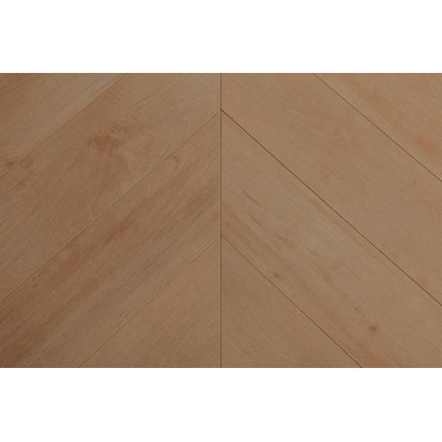 Ламинат CBM (ЦБМ) Ostros Дуб Тепла 12/33 507А (Oak Heat)